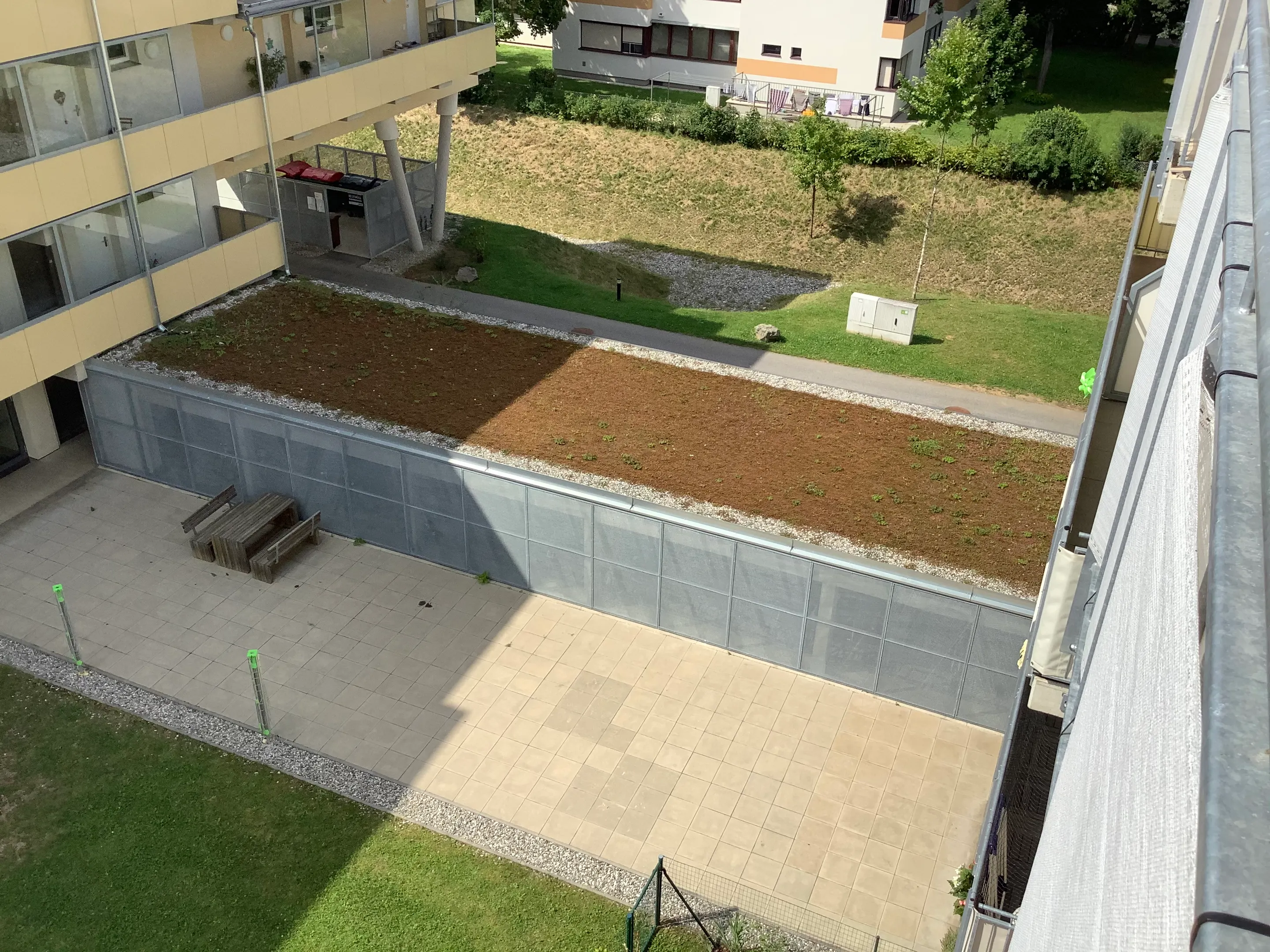 tosons_saba_37901_IMG_0068.jpg