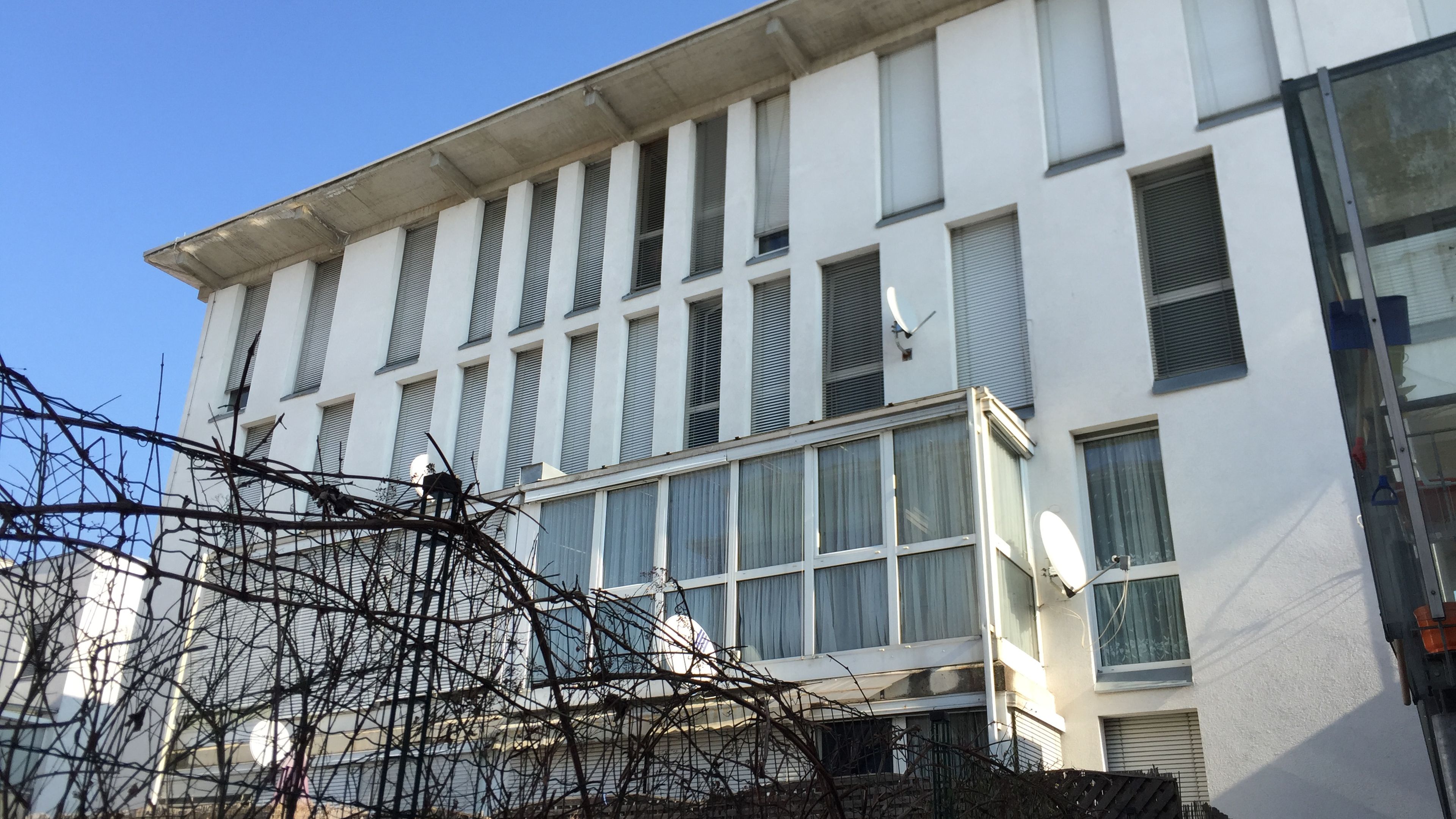 anru_134301_IMG_6825.JPG