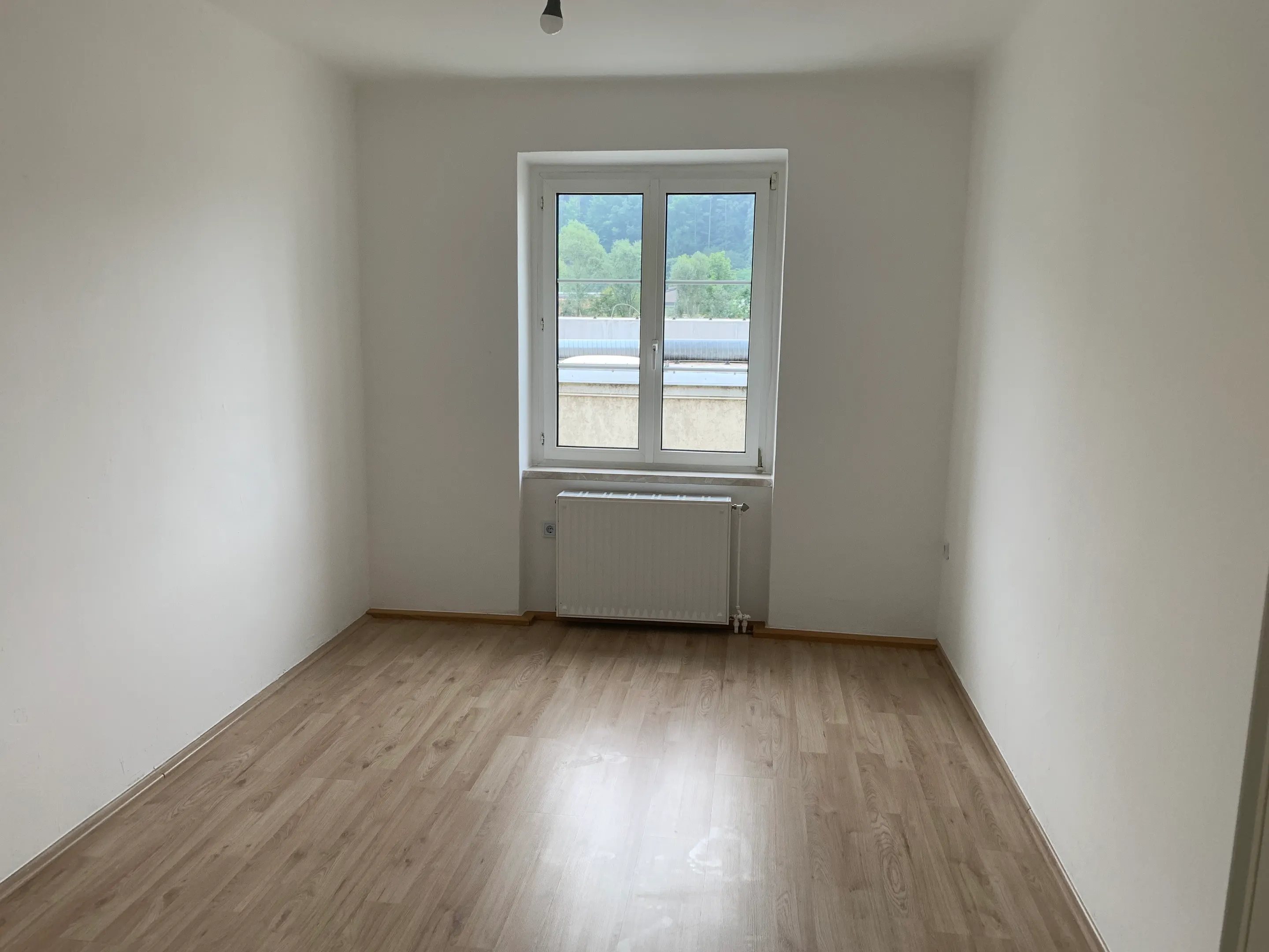 tosons_manca_2099_Zimmer1_jpg.jpg