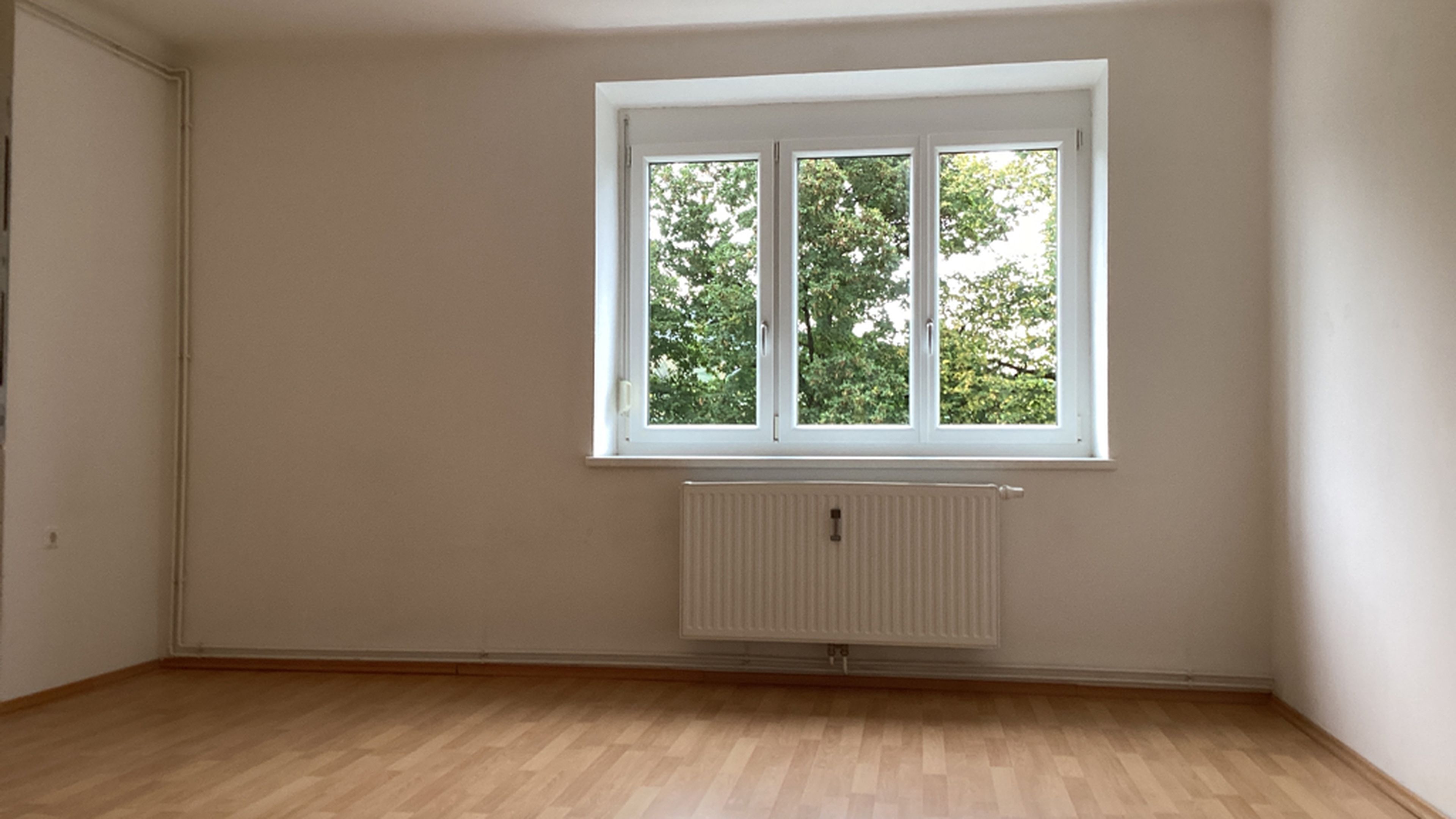 tosons_sabr_666_wapi_wane_uebernahmeprotokoll_76571_foto_raum8_E6E00FD2-3C64-4AFF-AD2A-CD7002361DC7.