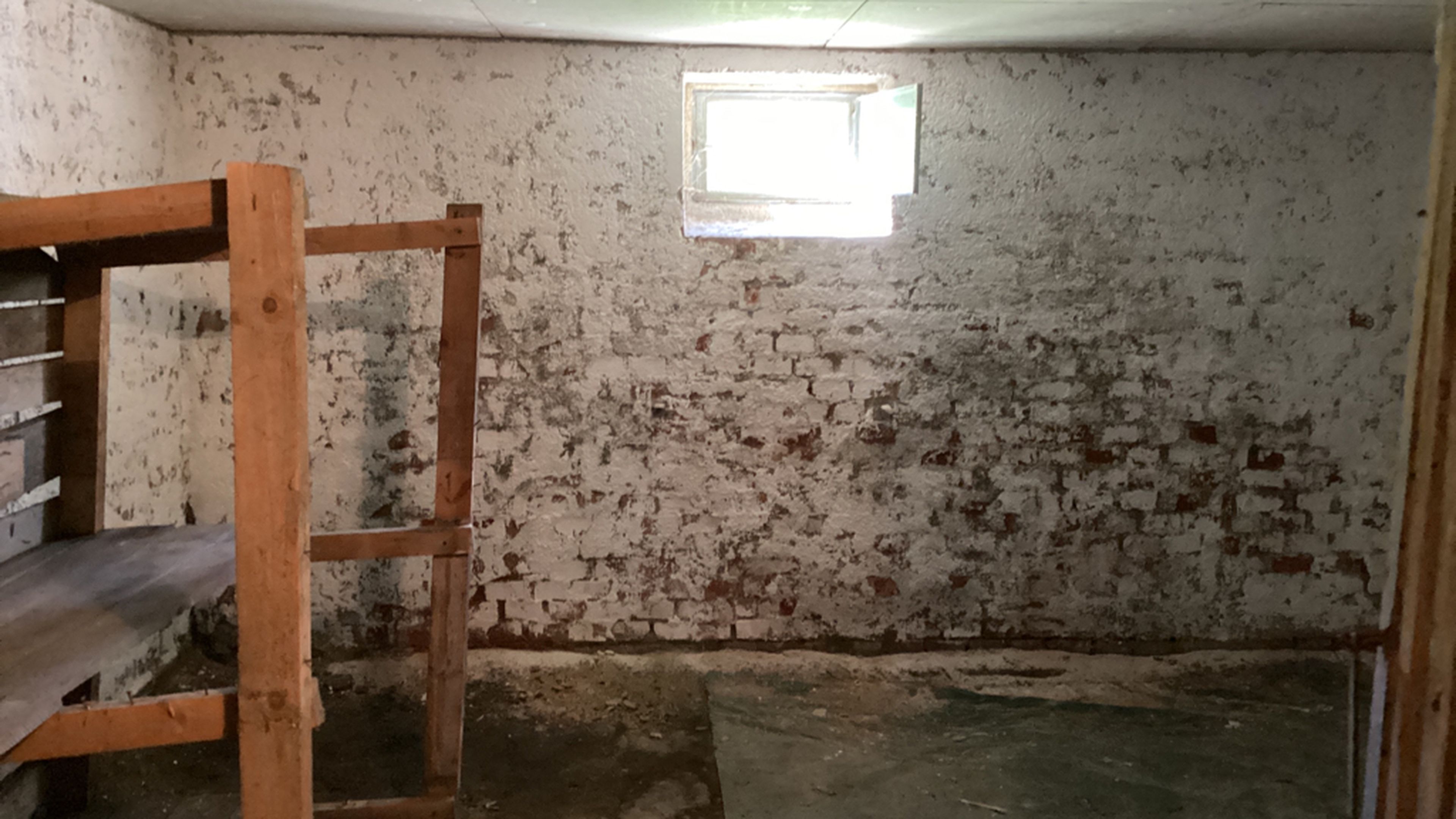 tosons_saba_3099_wapi_wane_uebernahmeprotokoll_74254_foto_raum19_65E095AB-01F4-481E-9125-7BF8466D8F4