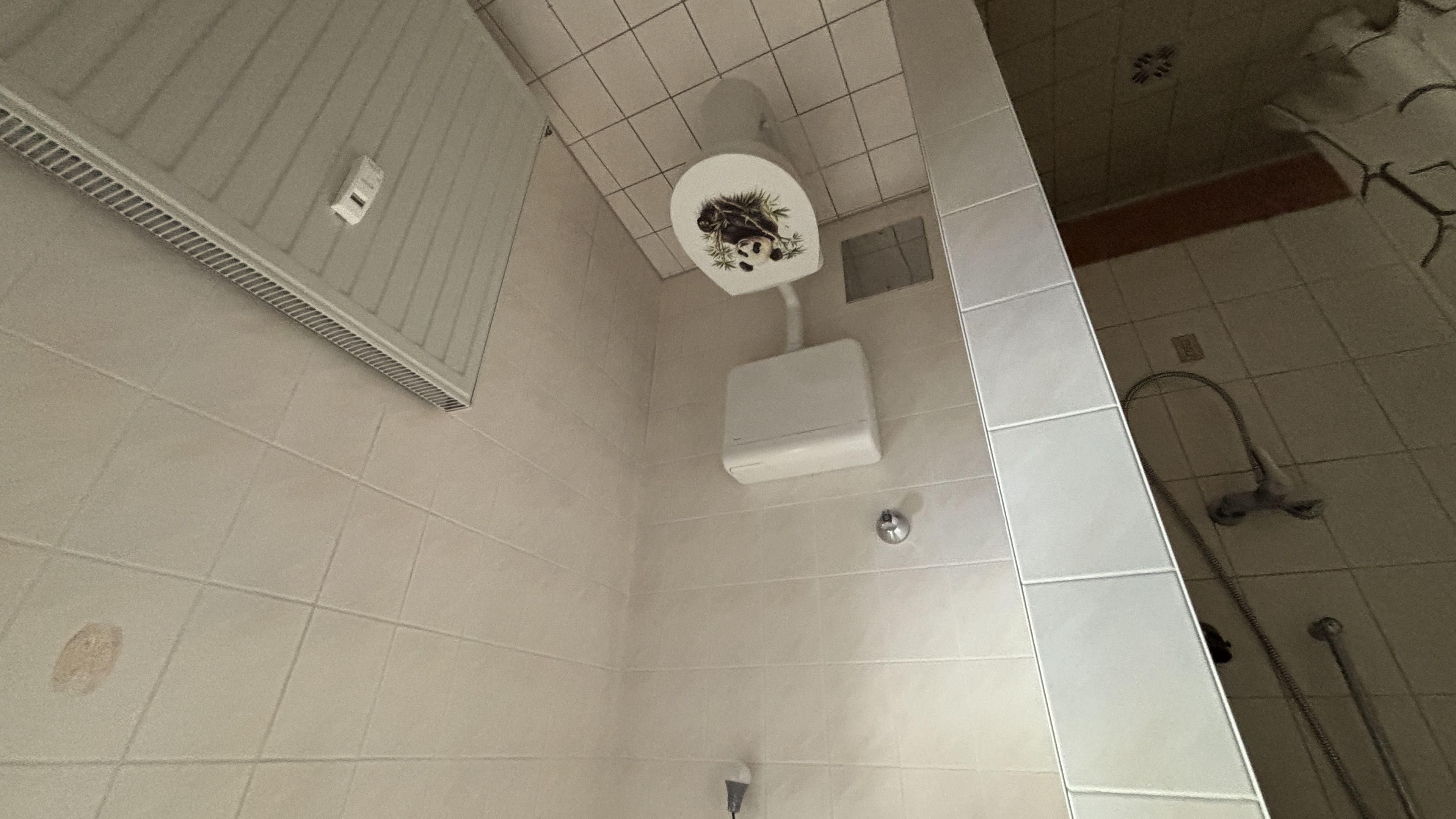 tosons_peste_153001_IMG_9026.jpeg