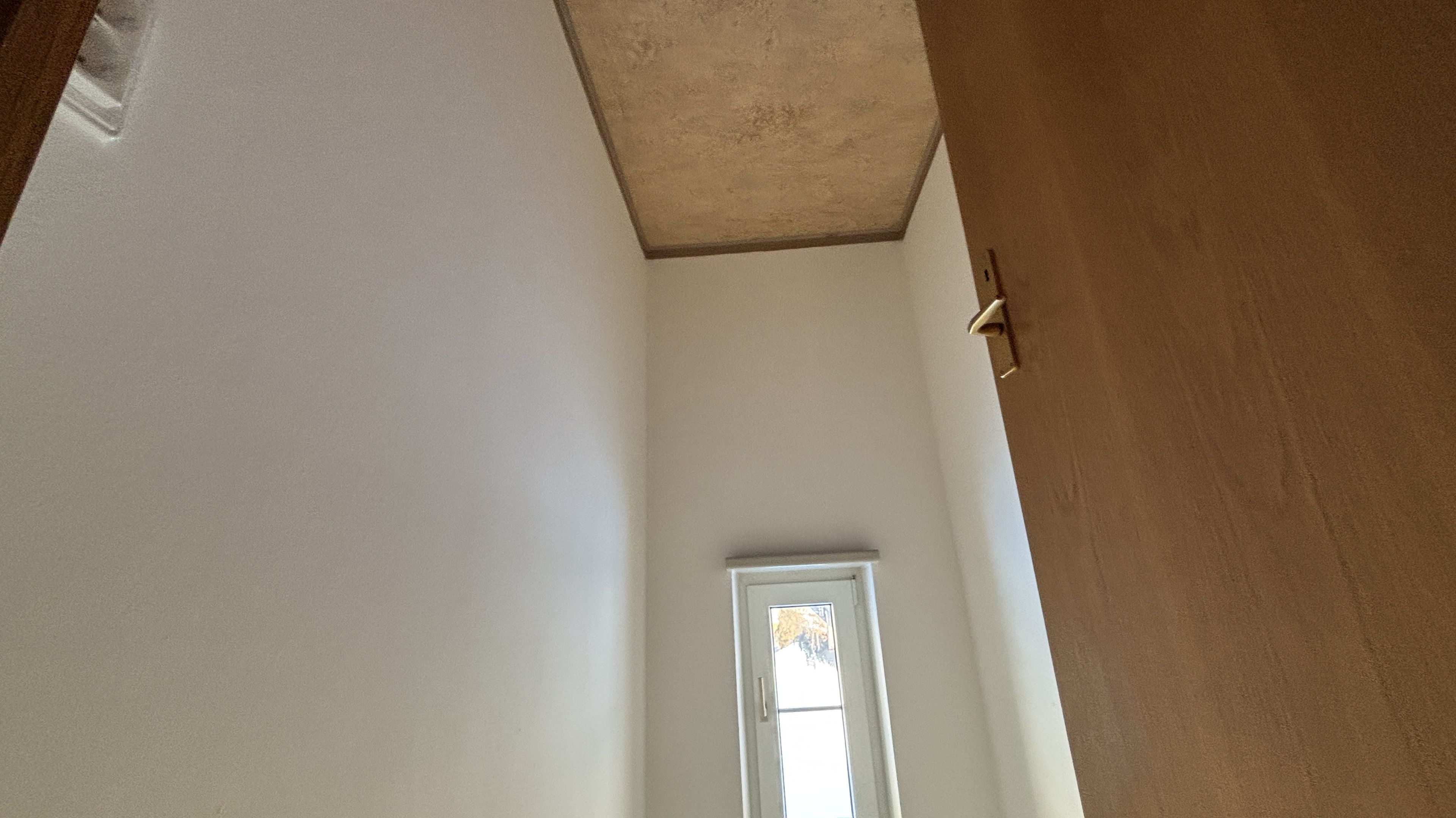 tosons_peste_146101_IMG_9466.jpeg