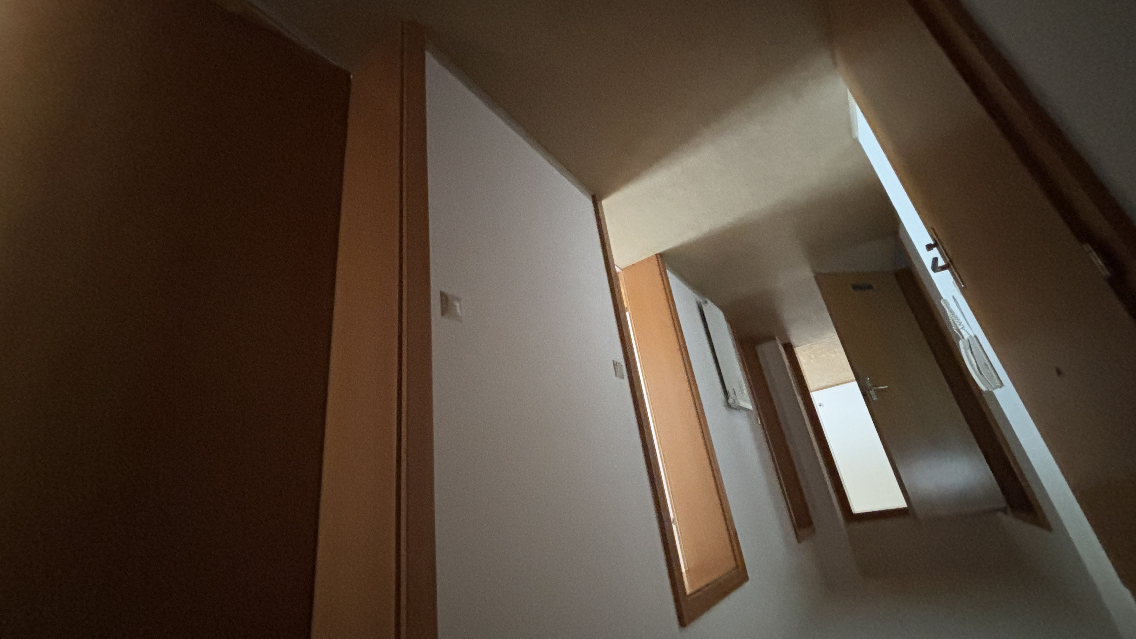 tosons_peste_167201_IMG_9812.jpeg