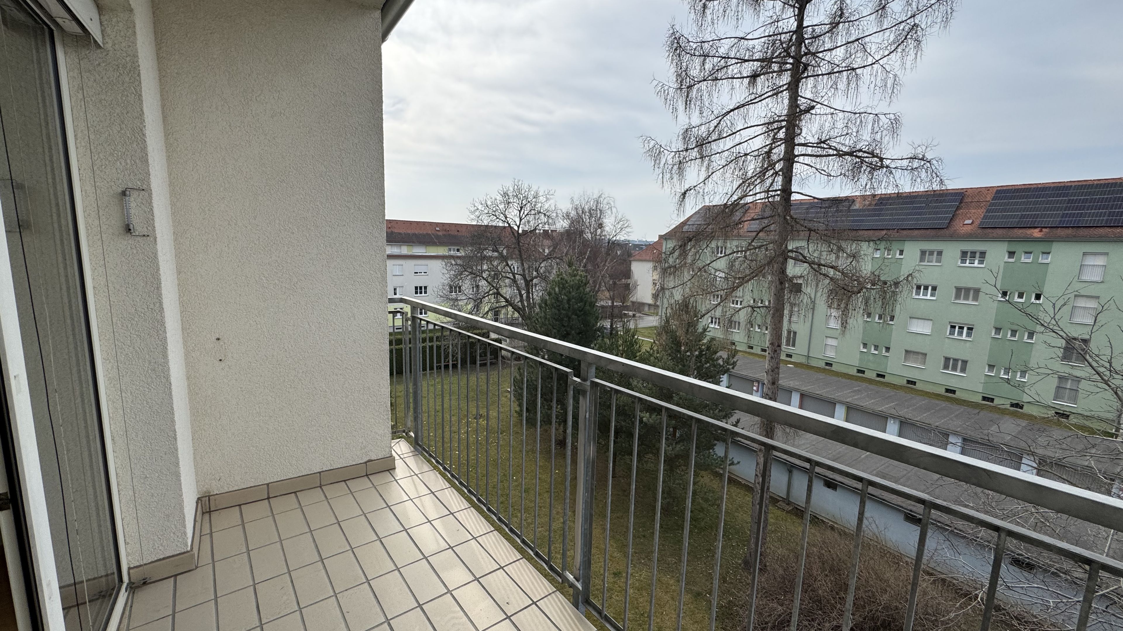 01_tosons_jeku_1092_IMG_9305.jpeg
