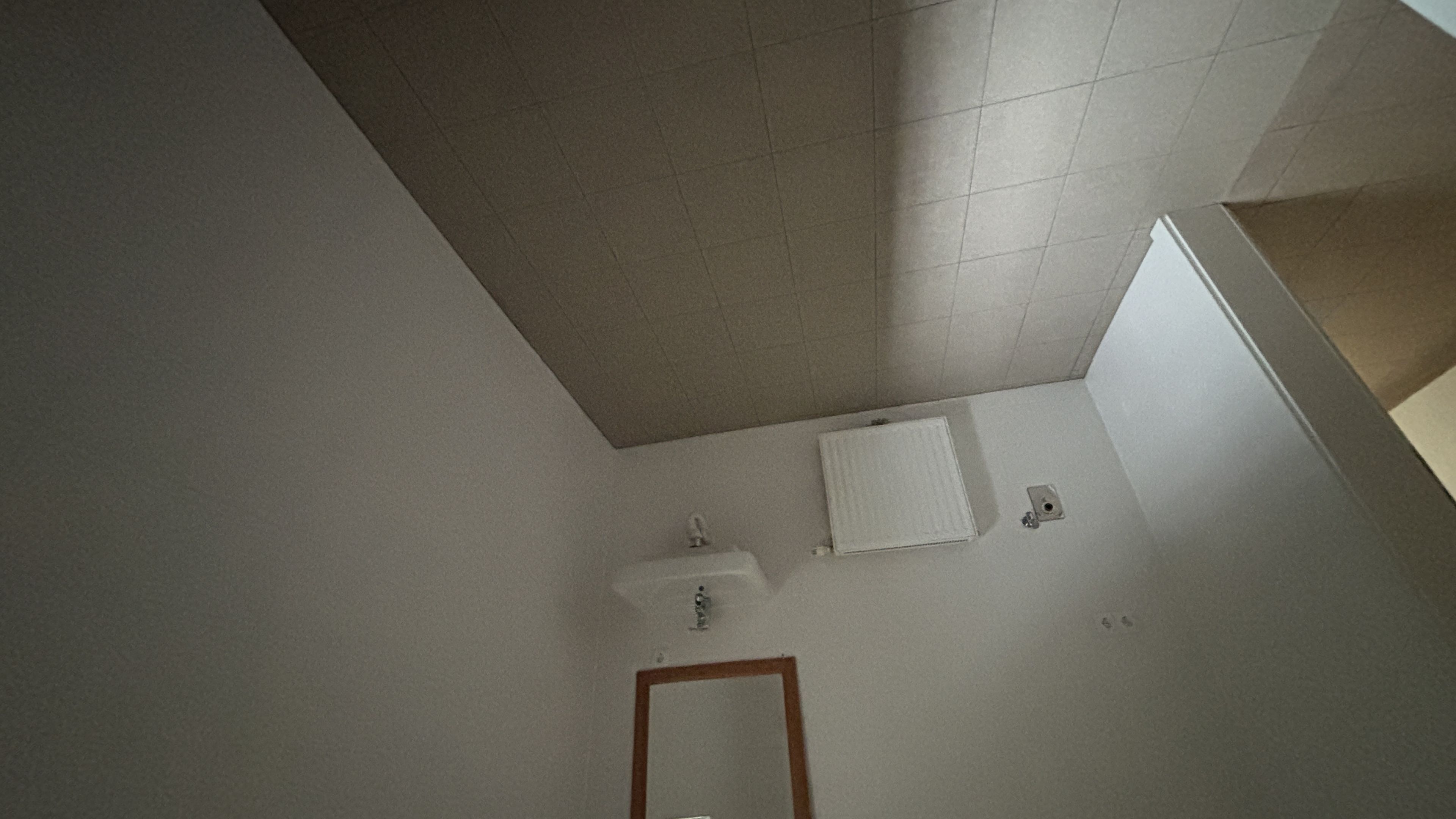 tosons_peste_194101_IMG_9945.jpeg