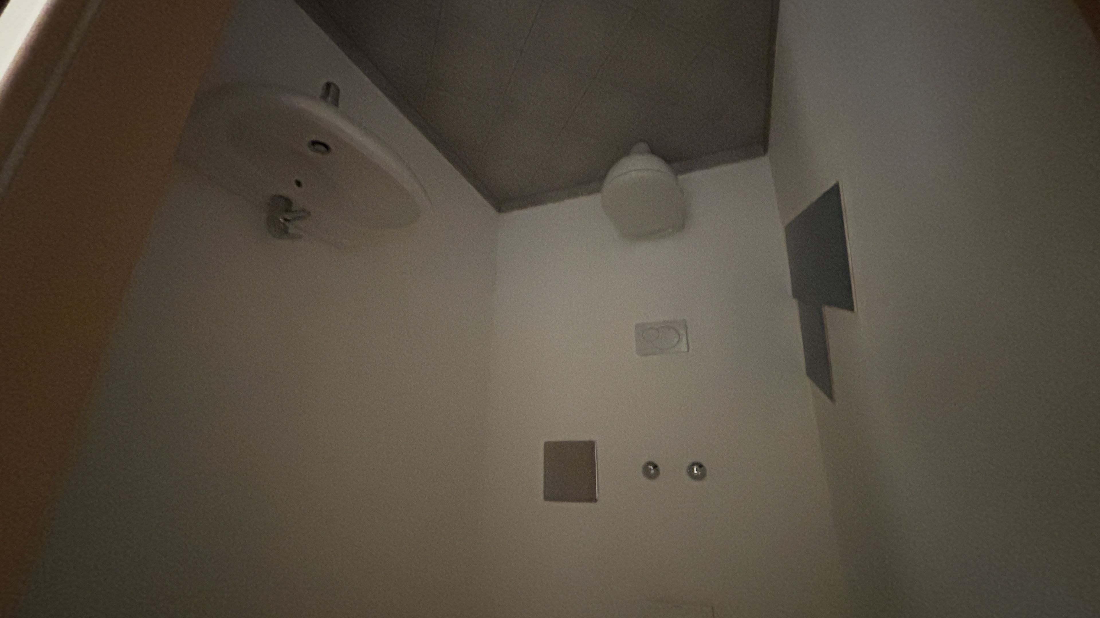 tosons_peste_164501_IMG_9989.jpeg