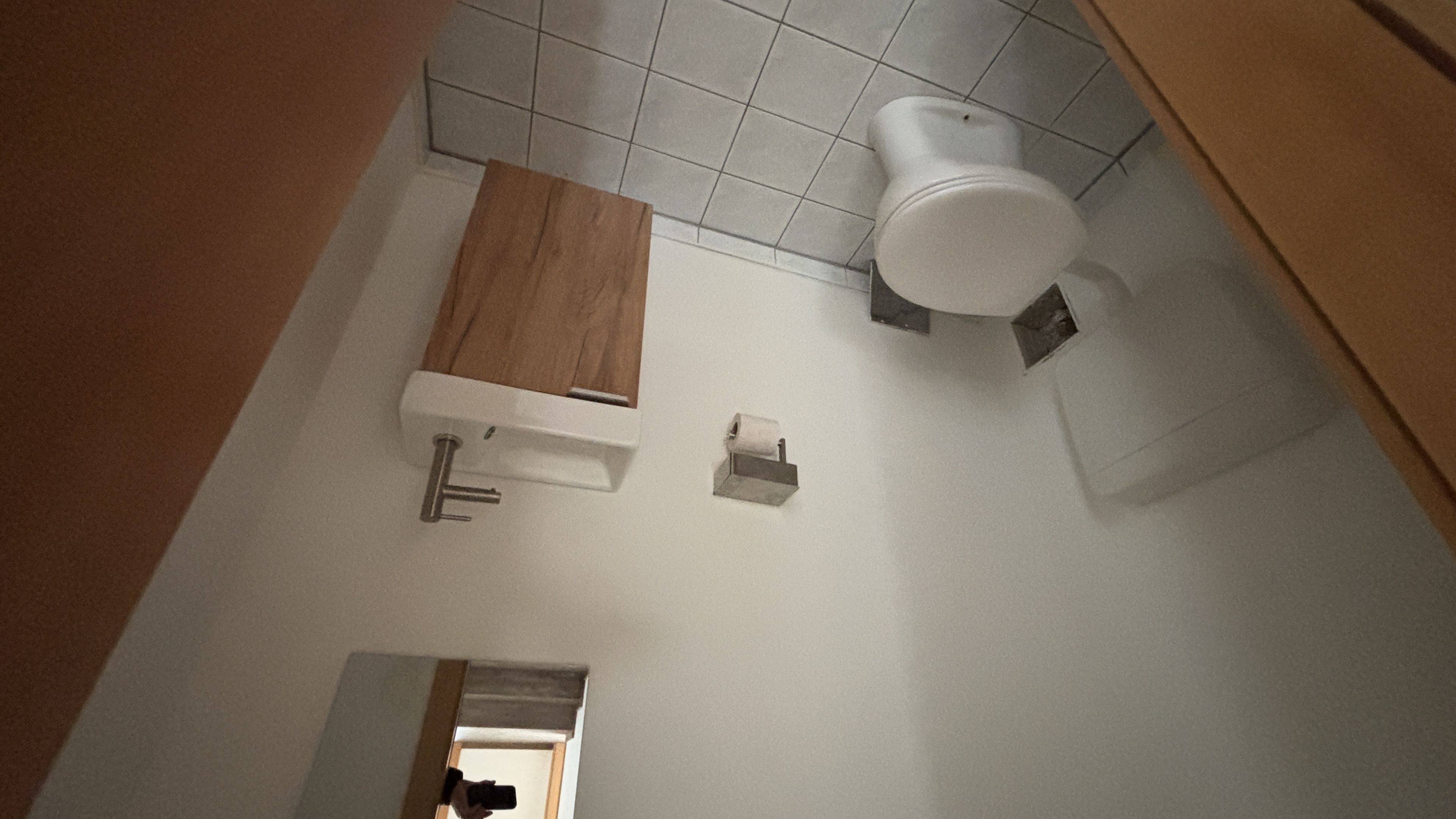 tosons_peste_149201_IMG_0020.jpeg