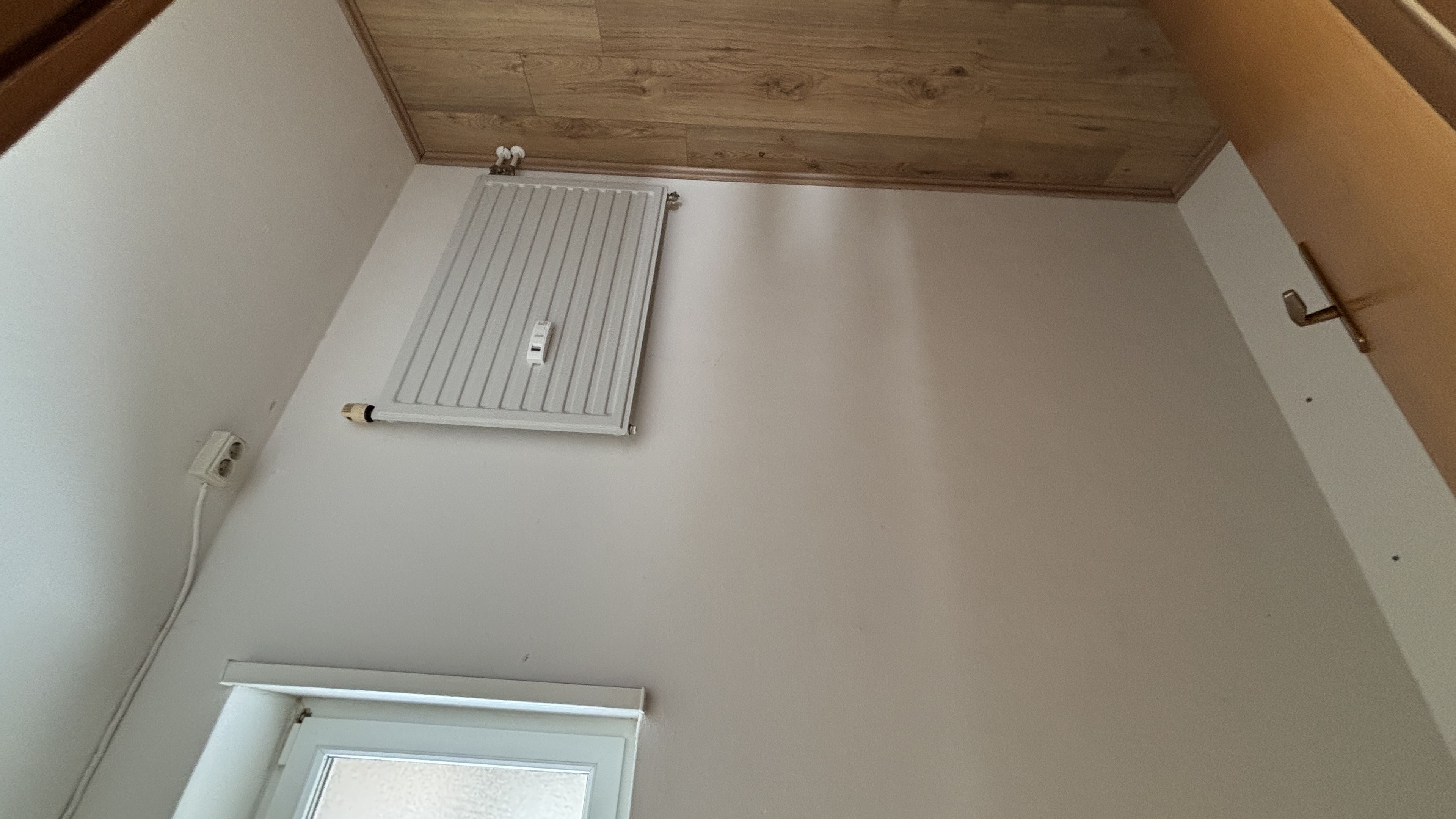tosons_peste_149201_IMG_0005.jpeg