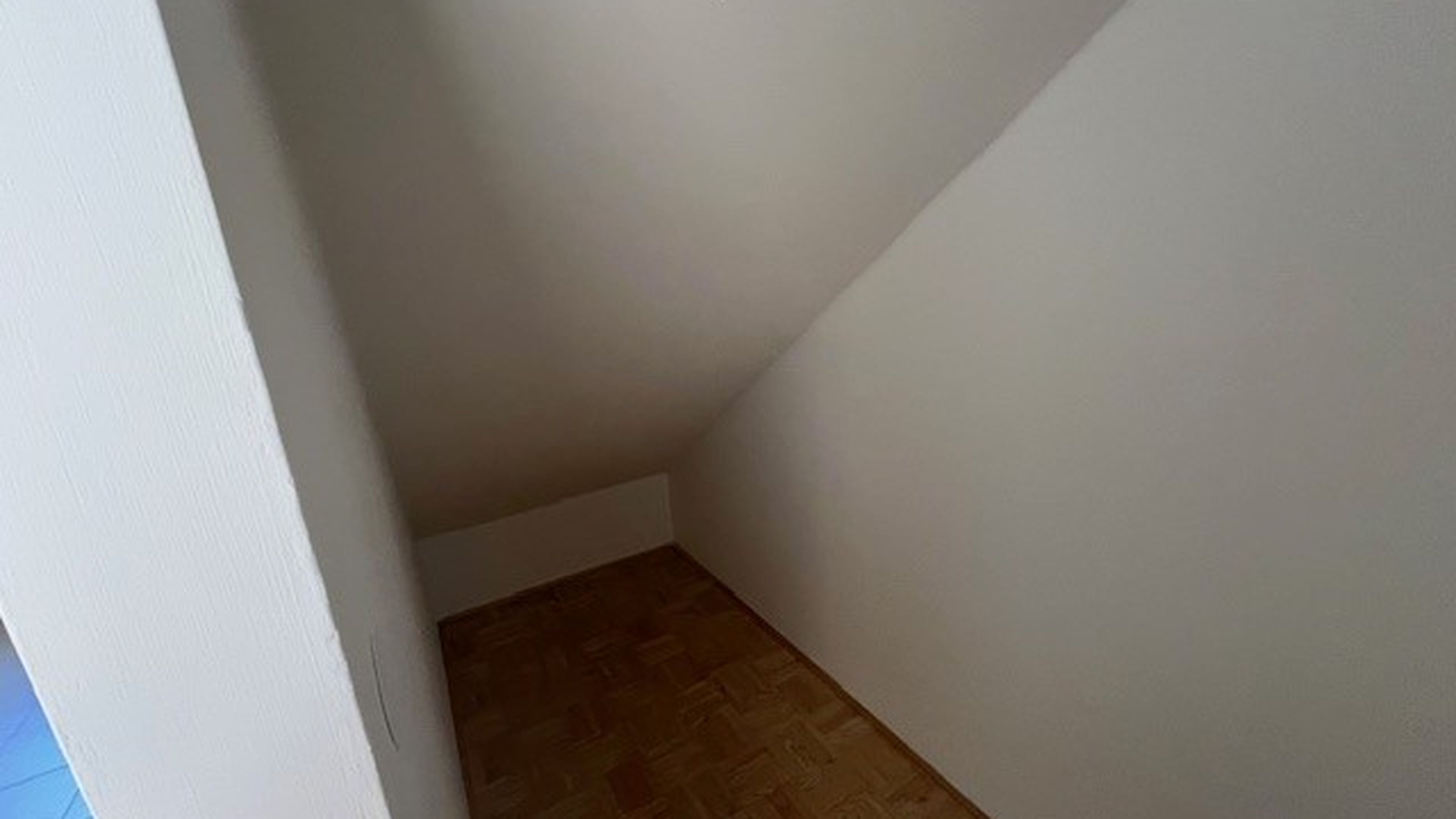 tosons_sast_31801_Foto6.jpg