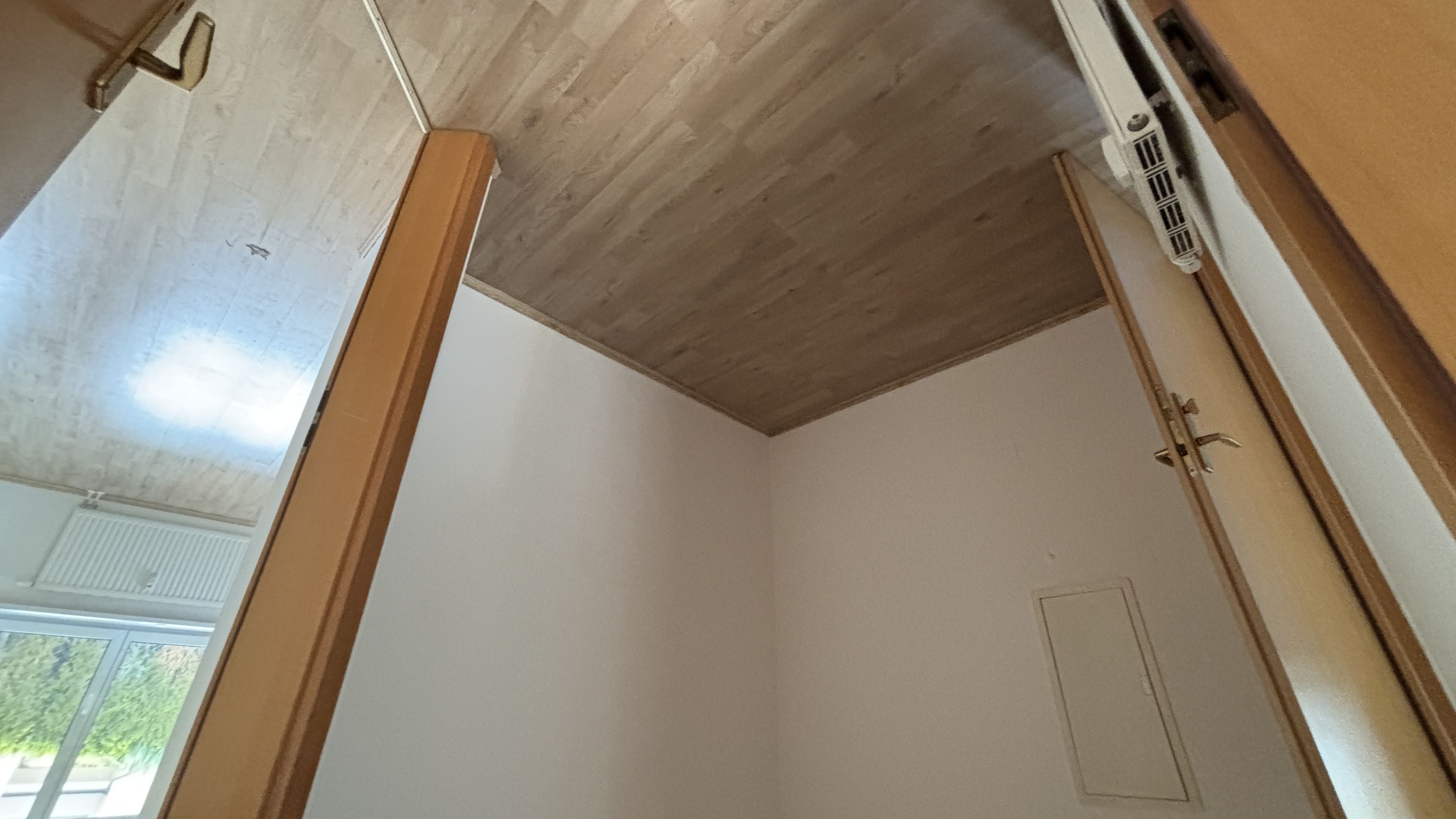 tosons_peste_156402_IMG_0189.jpeg