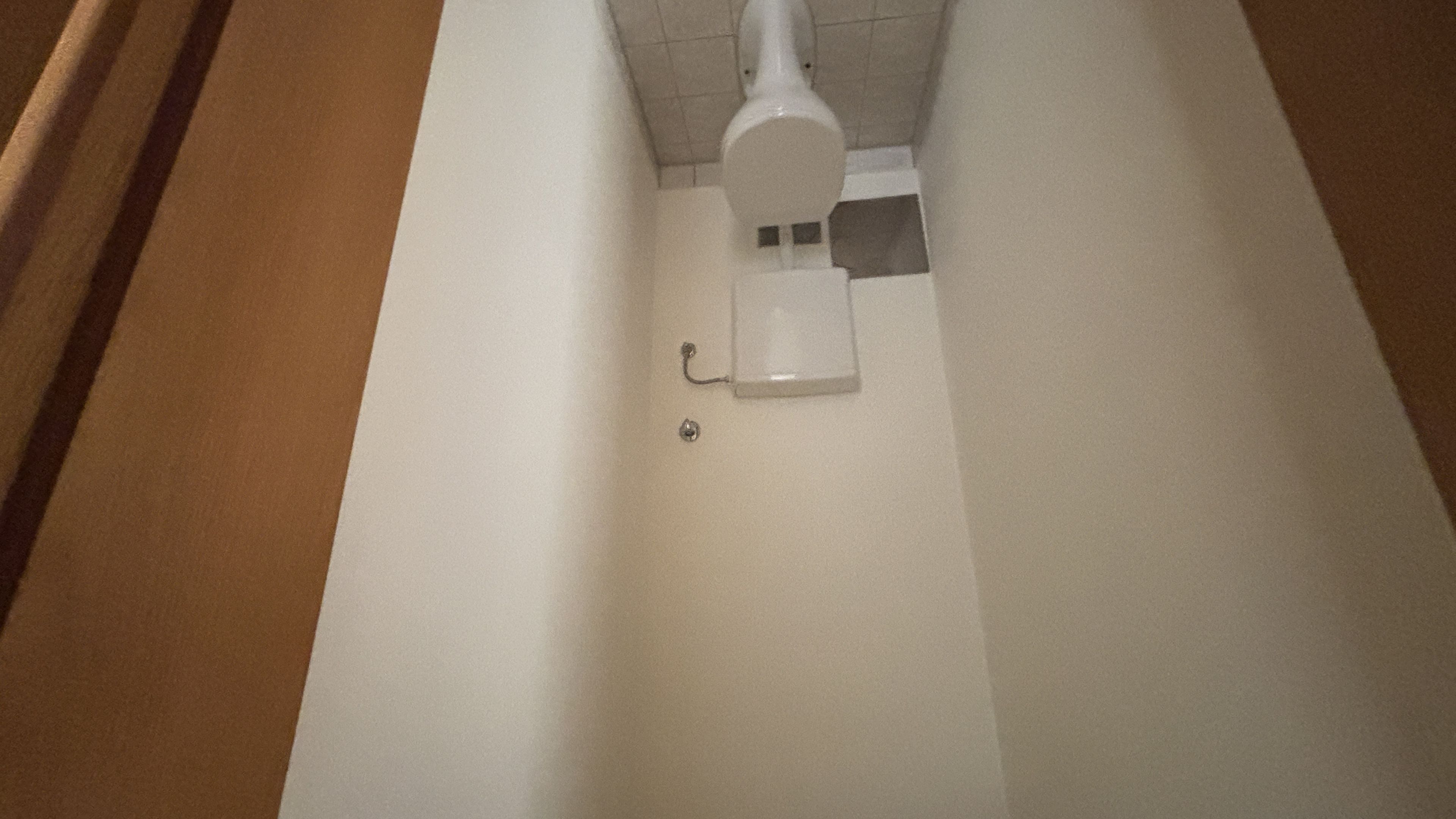 tosons_peste_93101_IMG_0403.jpeg