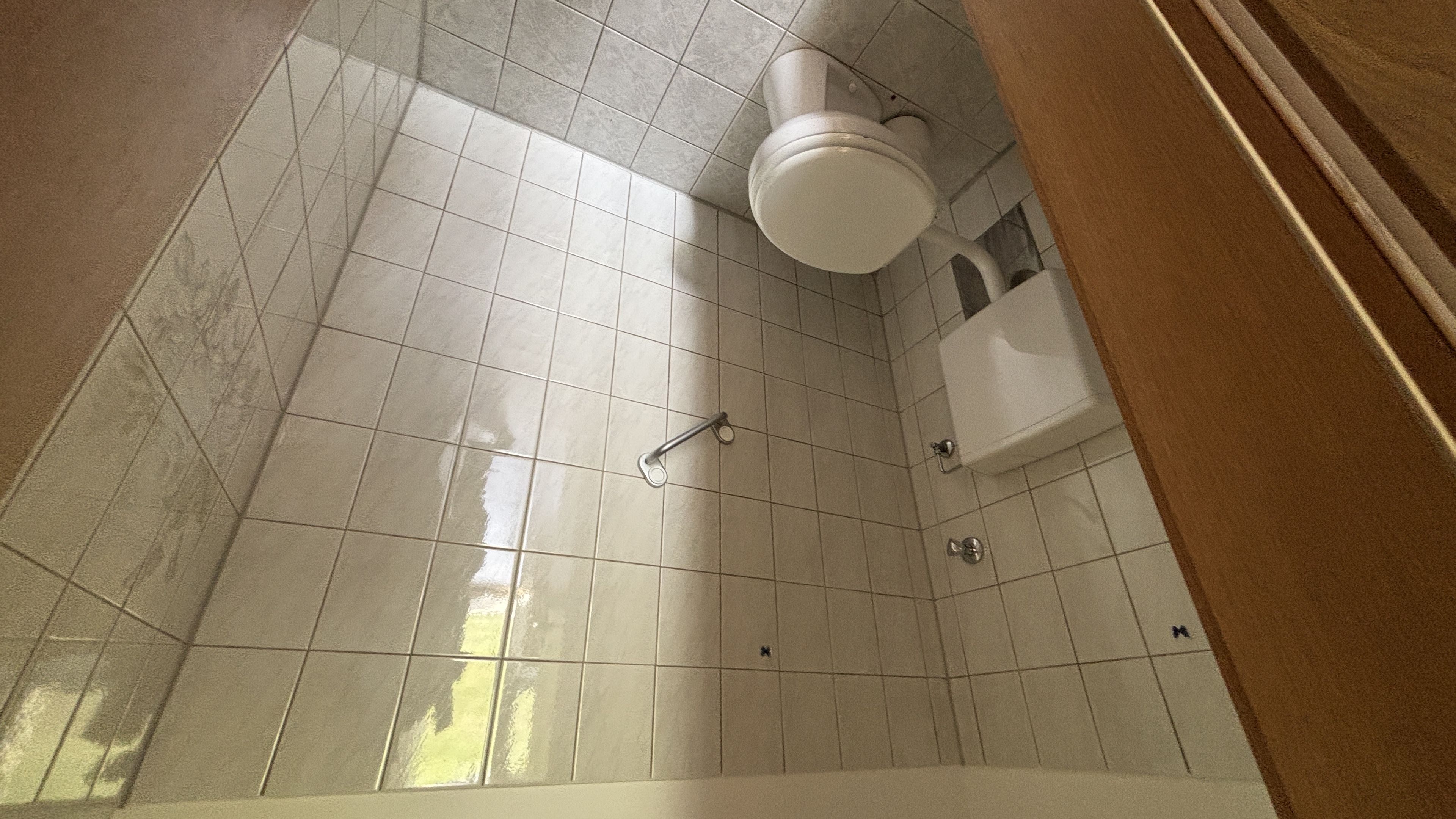 tosons_peste_93101_IMG_0418.jpeg