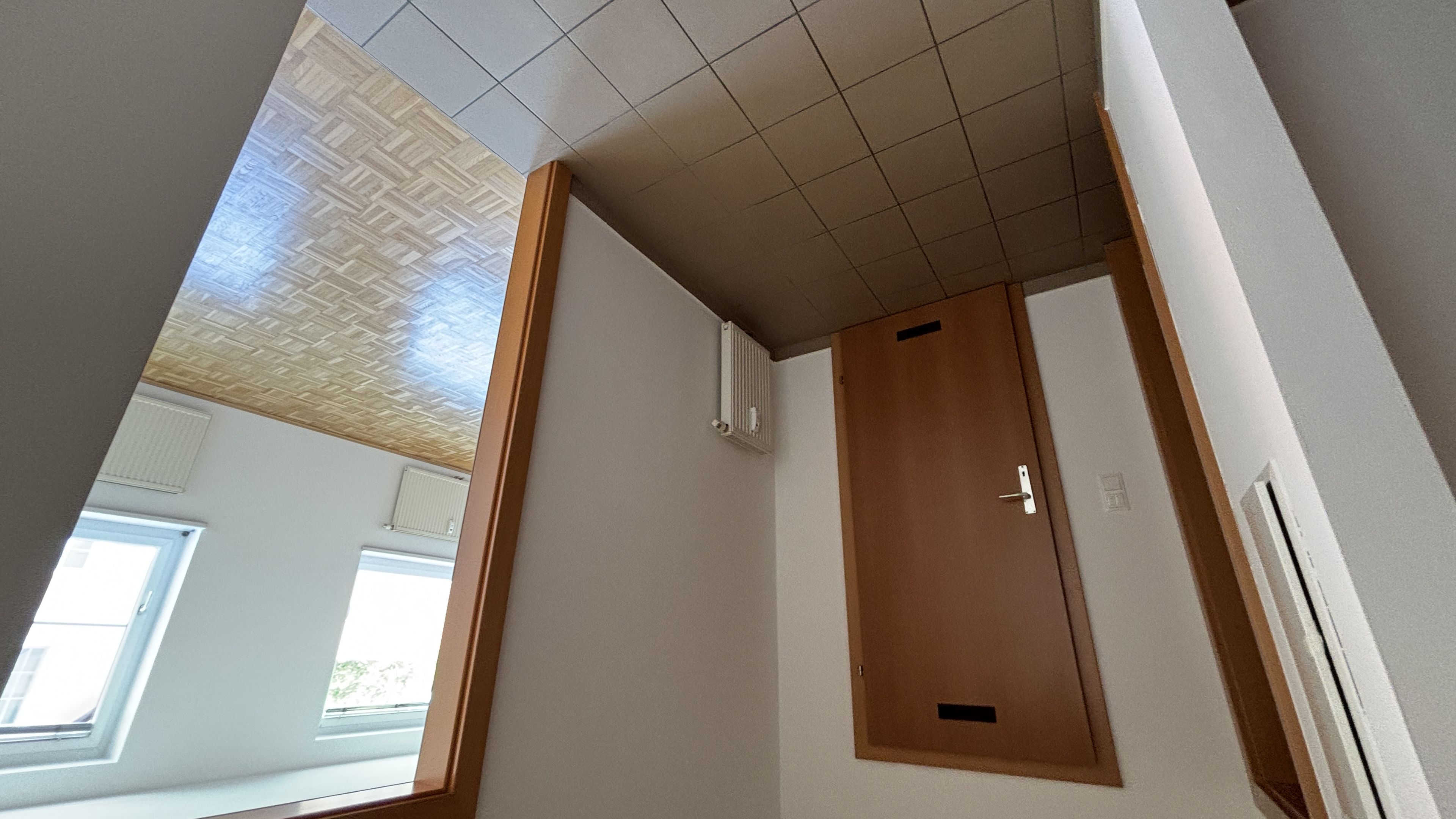 tosons_peste_173801_IMG_0900.jpeg