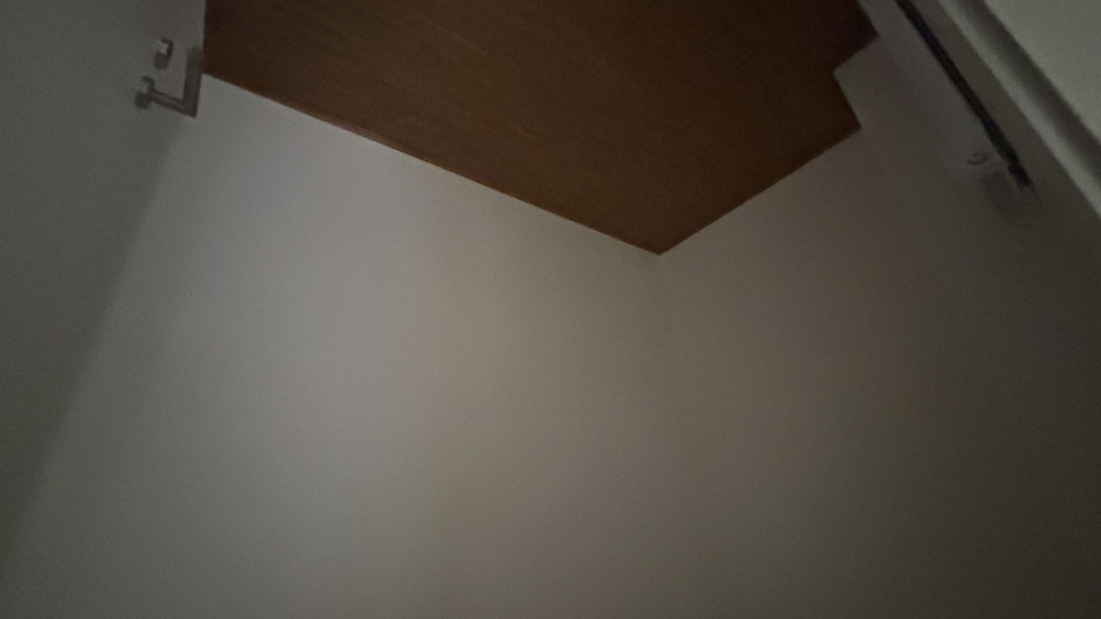 tosons_peste_400701_IMG_1005.jpeg