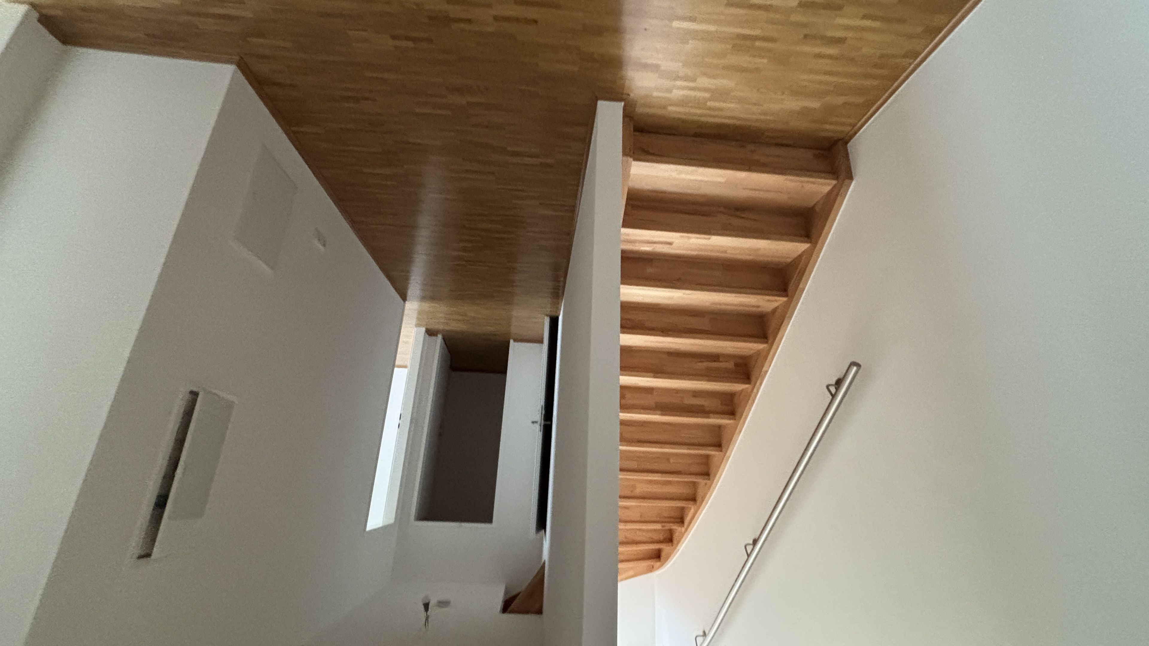 tosons_peste_400701_IMG_1003.jpeg