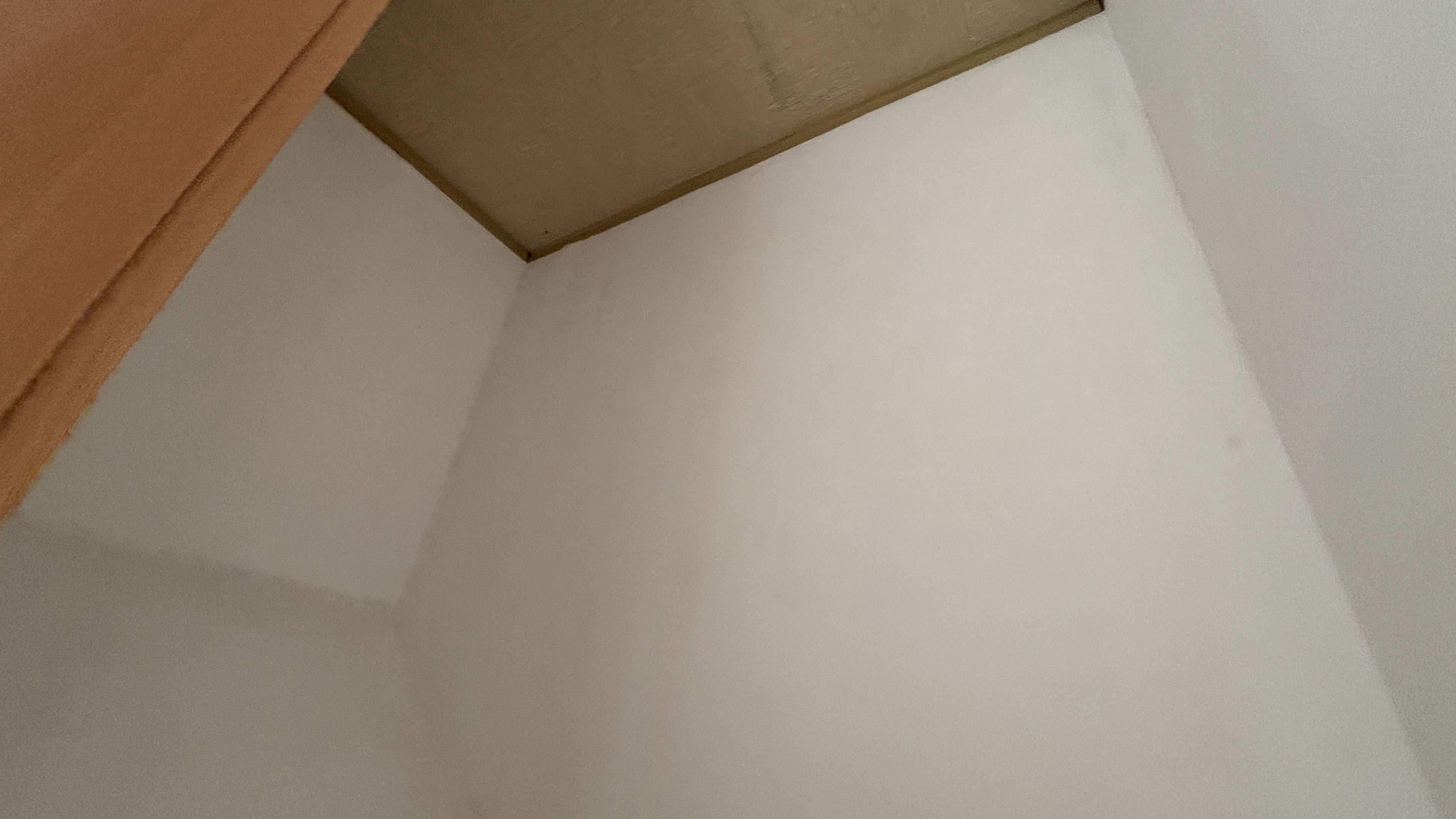 tosons_peste_151601_IMG_1336.jpeg
