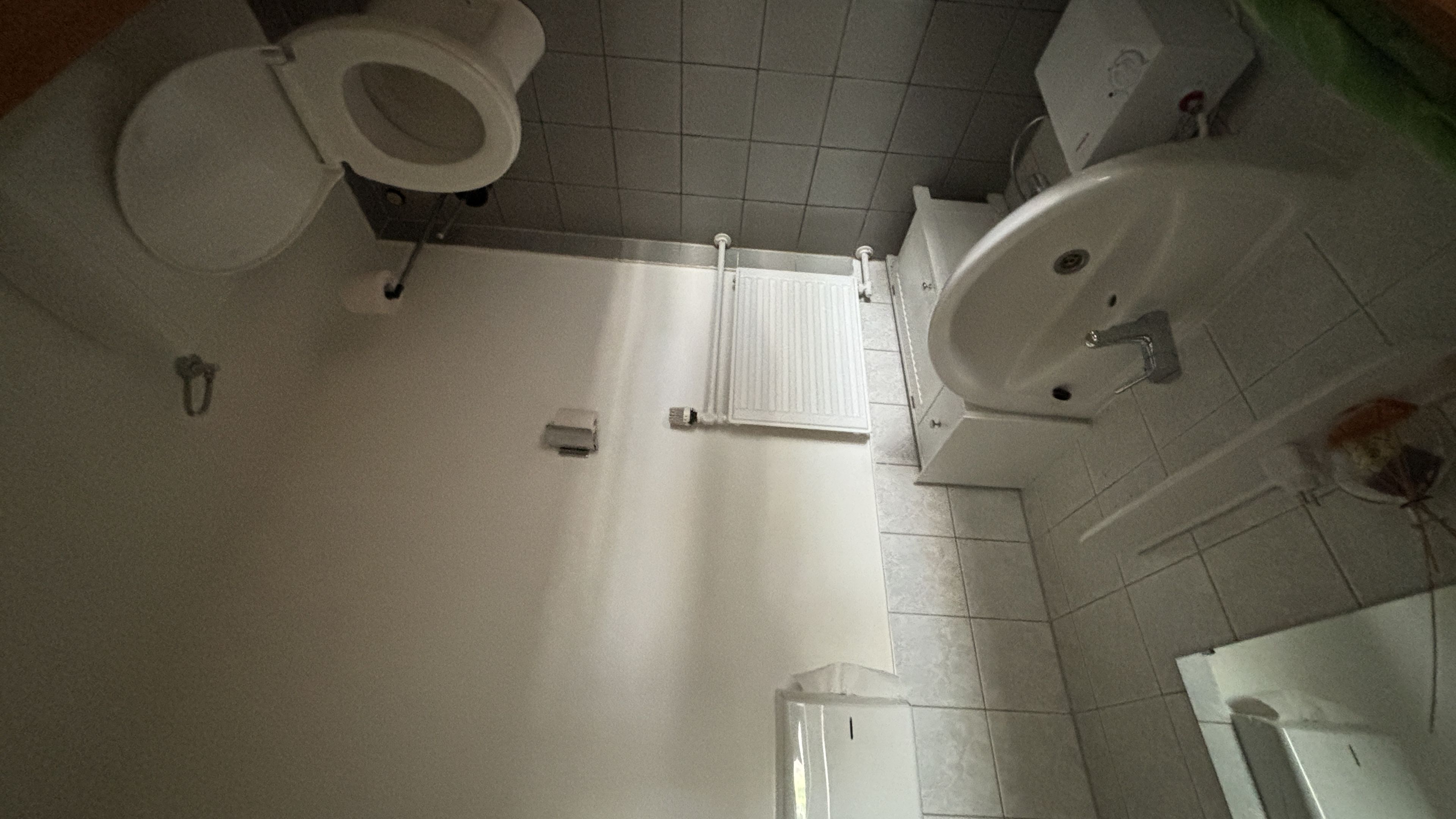 tosons_peste_92401_IMG_1423_jpeg.jpeg