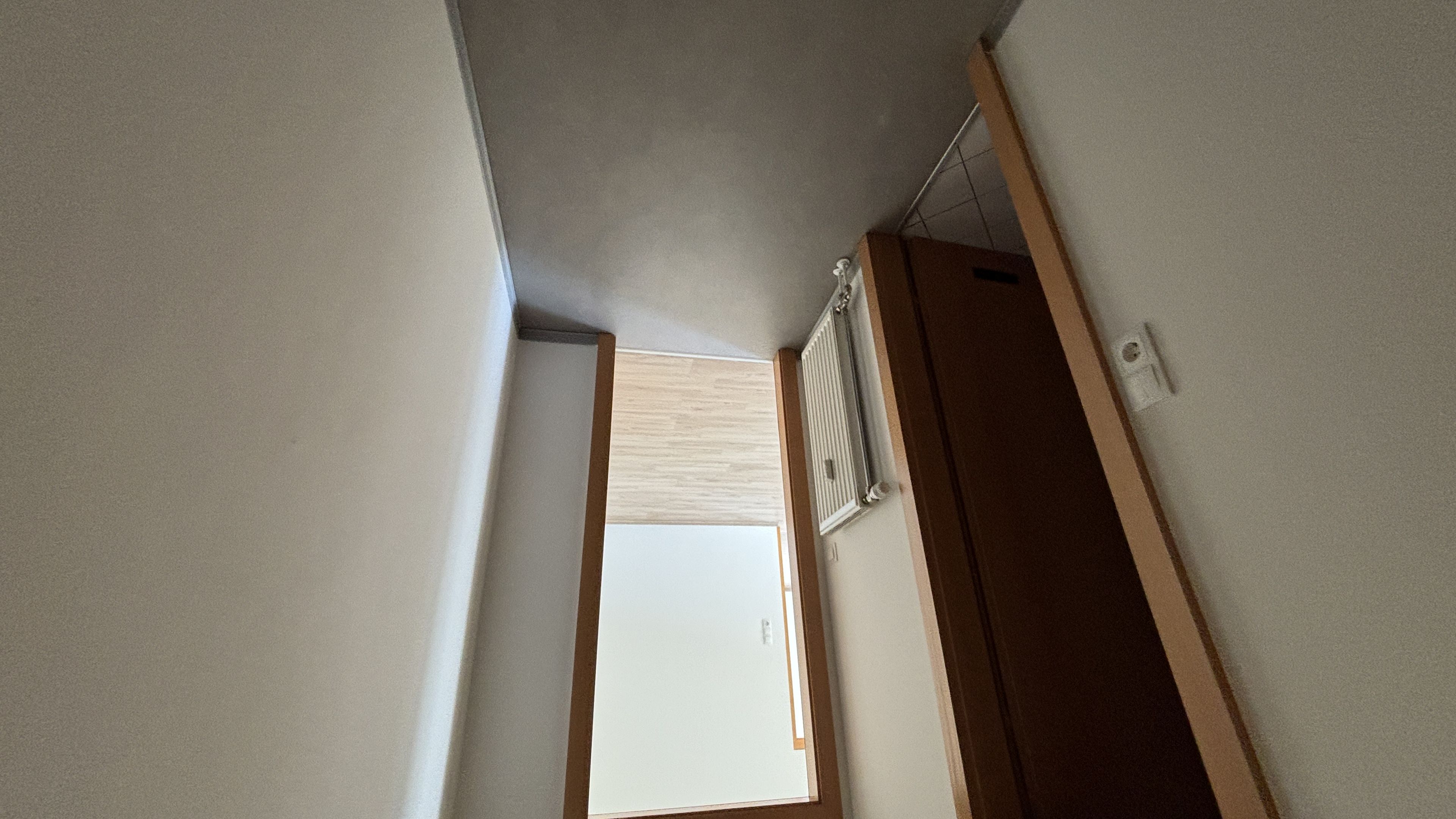 tosons_peste_92401_IMG_1407.jpeg
