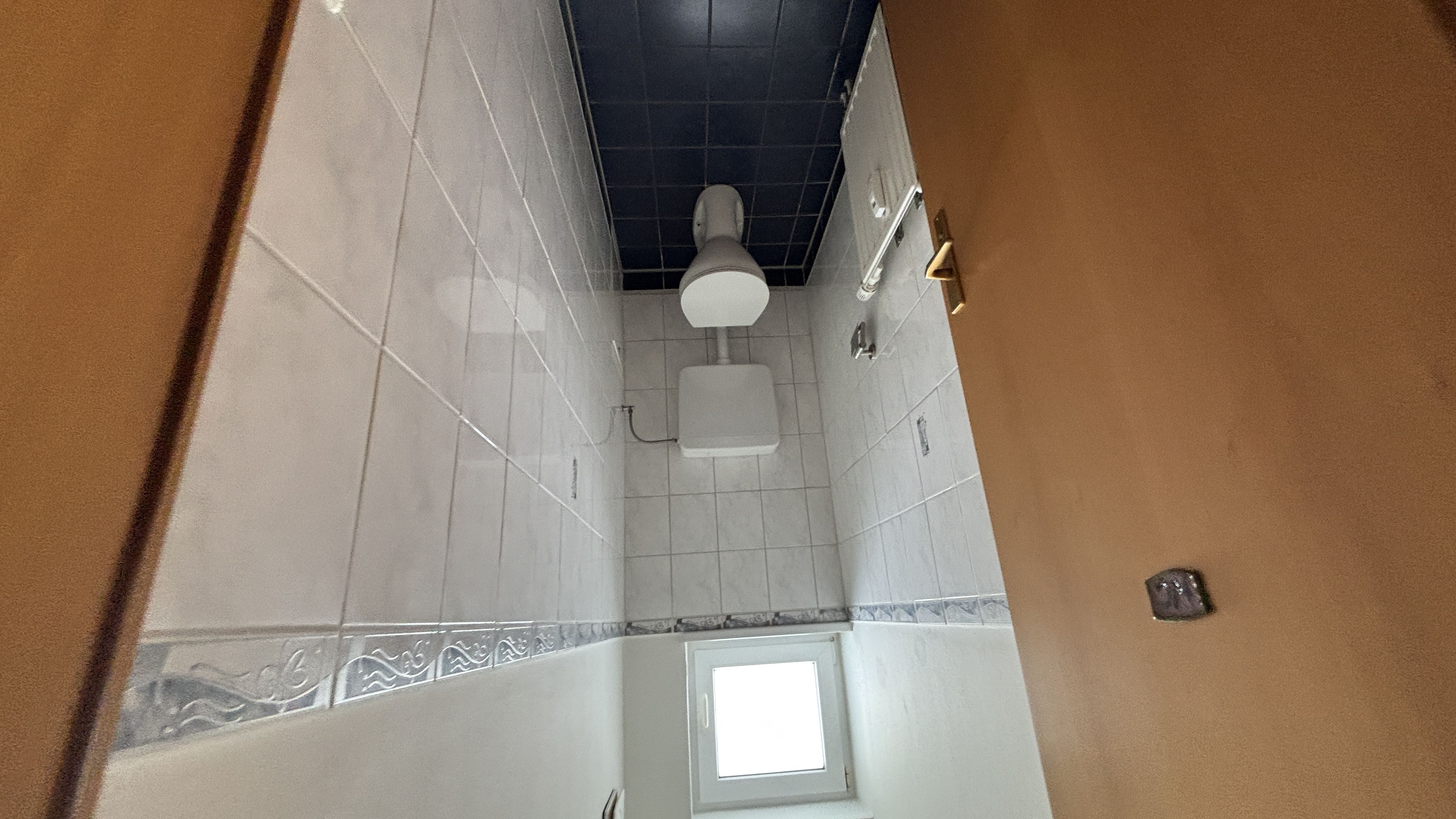 tosons_peste_152301_IMG_1497.jpeg
