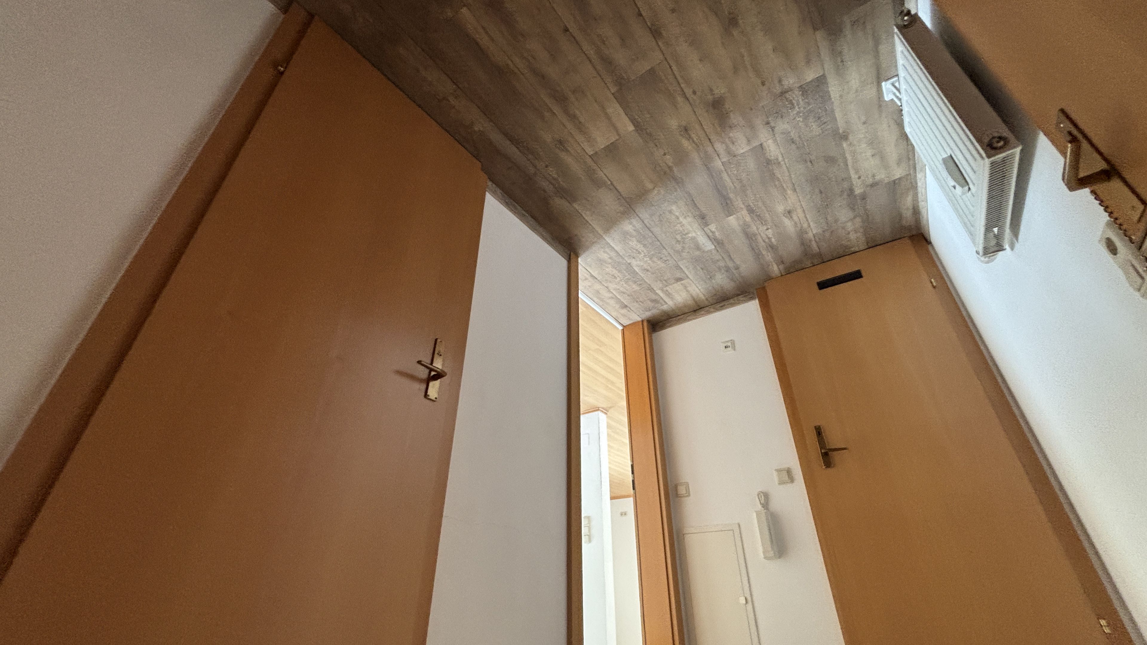 tosons_peste_152301_IMG_1505.jpeg