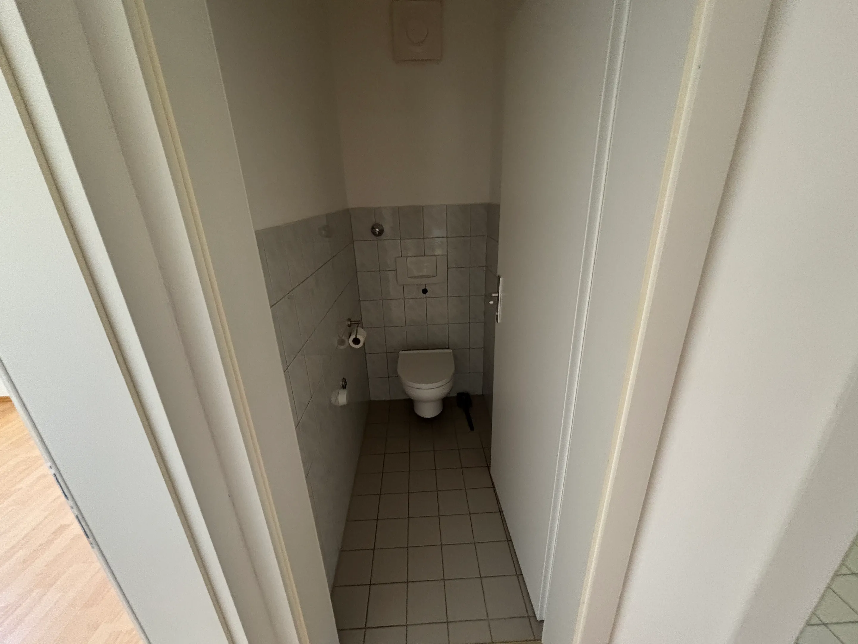 toschr_peste_150701_IMG_1656.jpeg