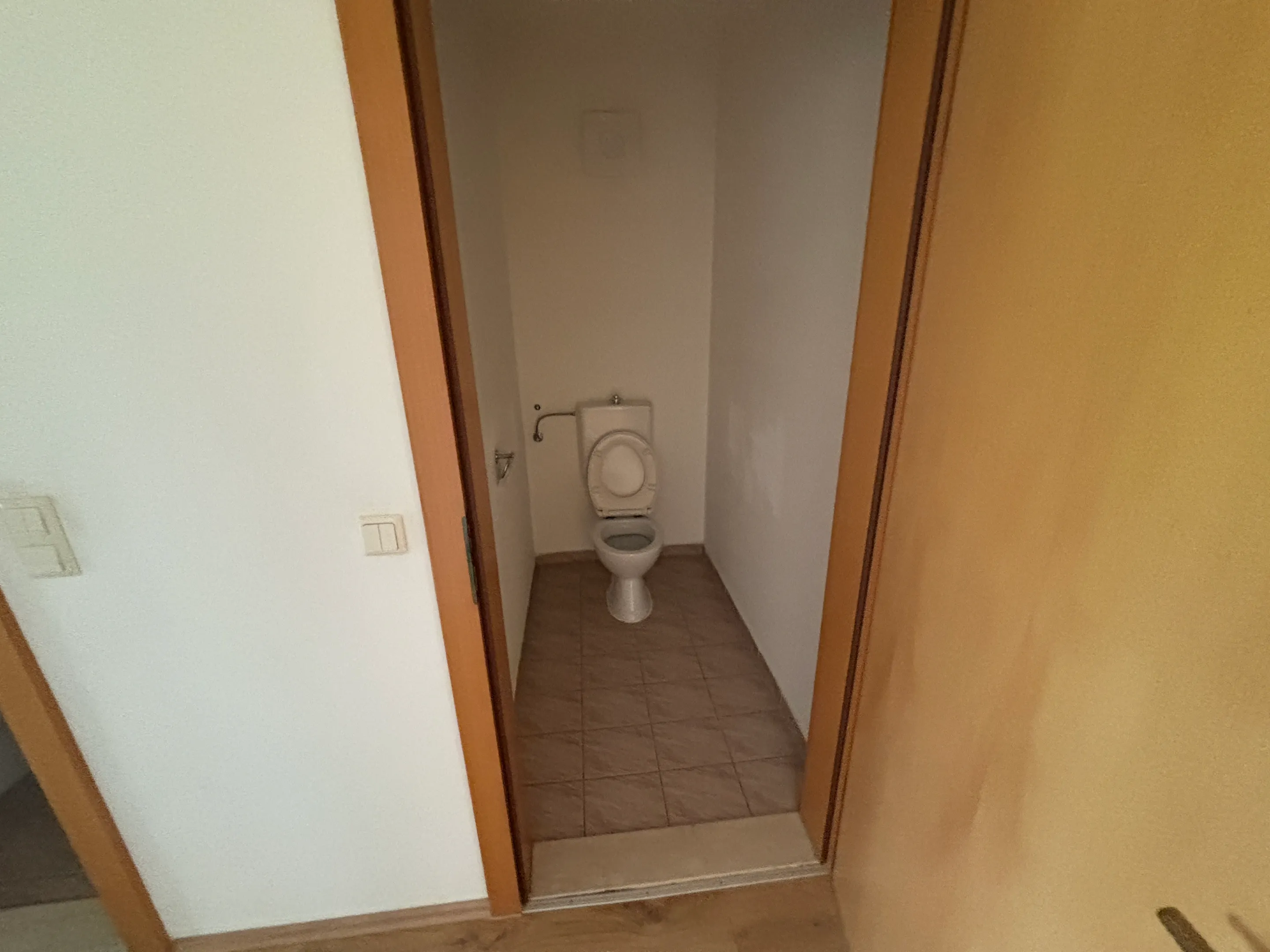 tosons_peste_151201_IMG_1642.jpeg