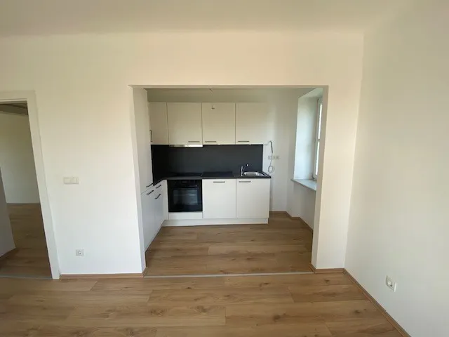 tosons_saba_1499_Top33_Wohnung3_Foto_Küche1.jpg