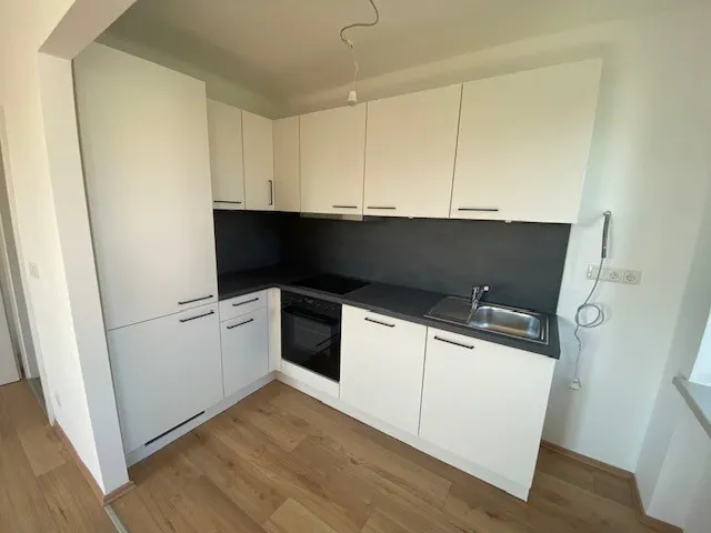 tosons_saba_1499_Top33_Wohnung3_Foto_Küche2.jpg