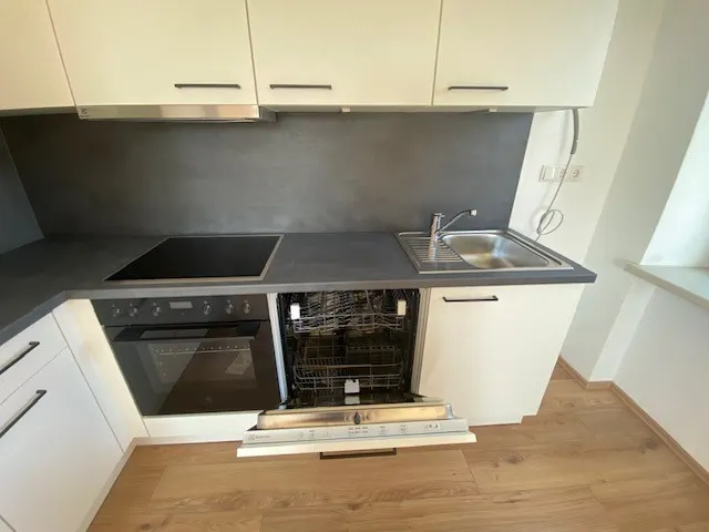 tosons_saba_1499_Top33_Wohnung3_Foto_Küche4.jpg