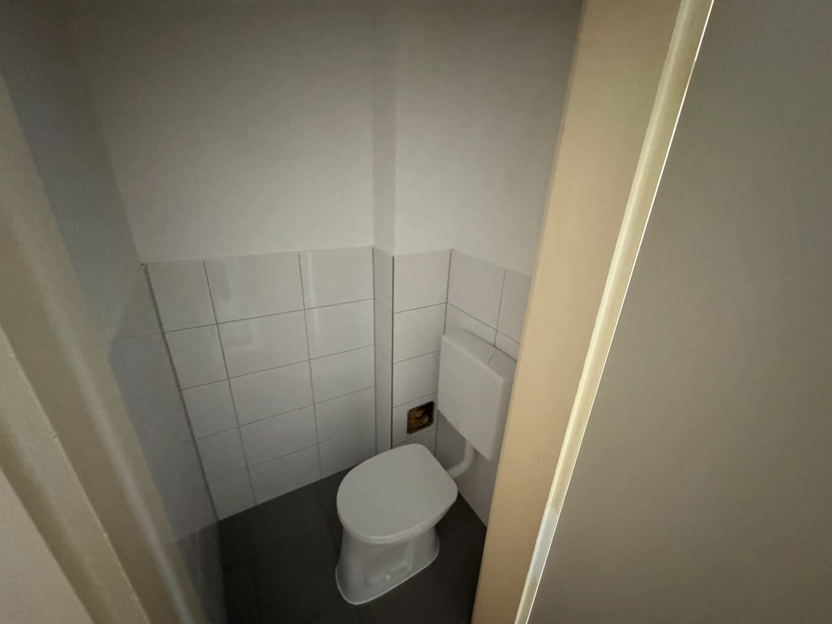 tosons_jeku_1092_WC.jpeg
